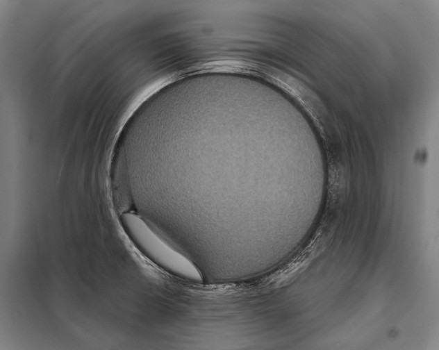 X0000097911426200804041451