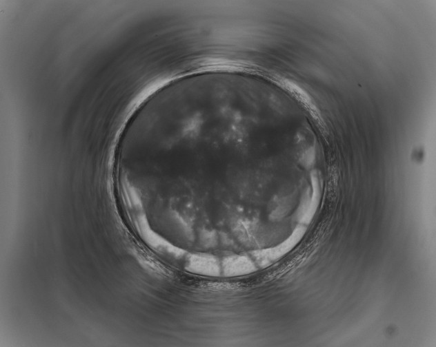 X0000097911427200804041451