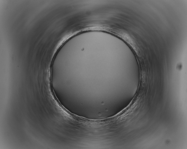 X0000097911428200804041451