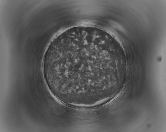 X0000097911429200804041451