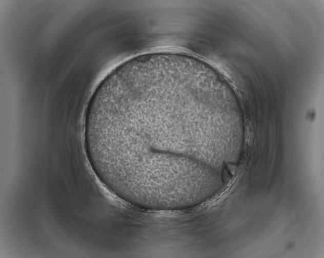 X0000097911430200804041451