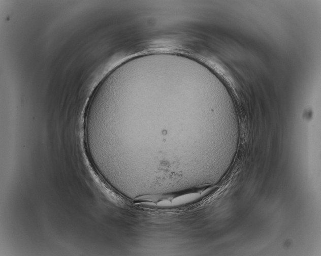 X0000097911431200804041451