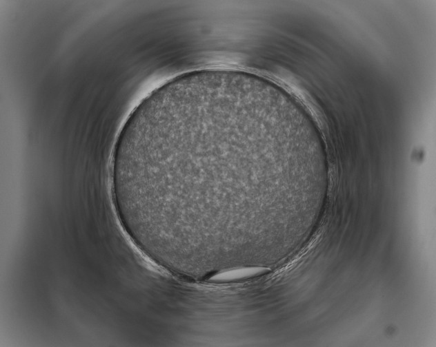 X0000097911432200804041451