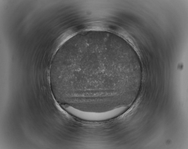 X0000097911433200804041451