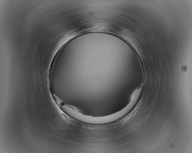 X0000097911434200804041451