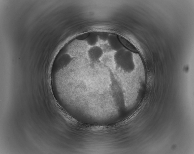 X0000097911435200804041451