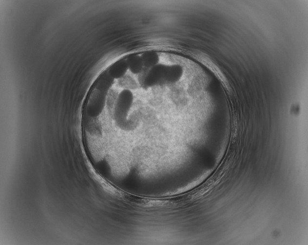 X0000097911439200804041451