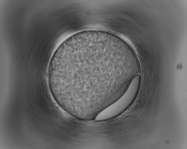 X0000097911440200804041451