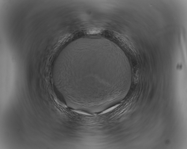 X0000097911441200804041450