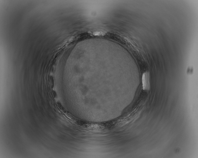 X0000097911443200804041450