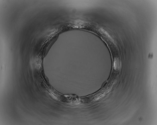 X0000097911444200804041450