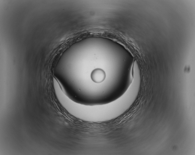 X0000097911445200804041450