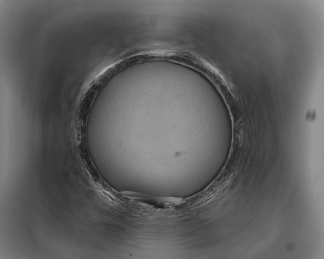 X0000097911448200804041450