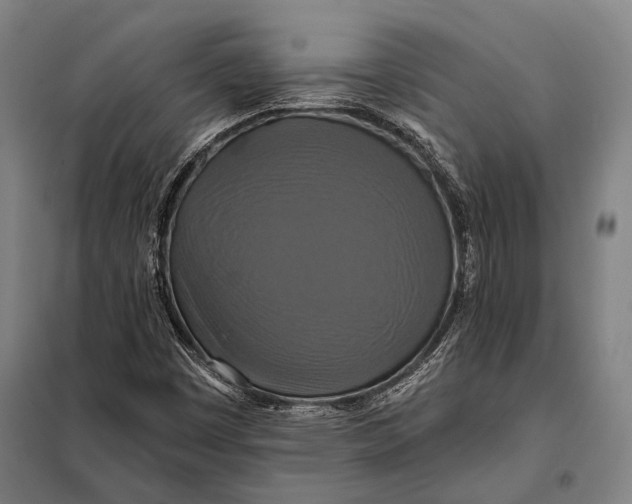 X0000097911449200804041450