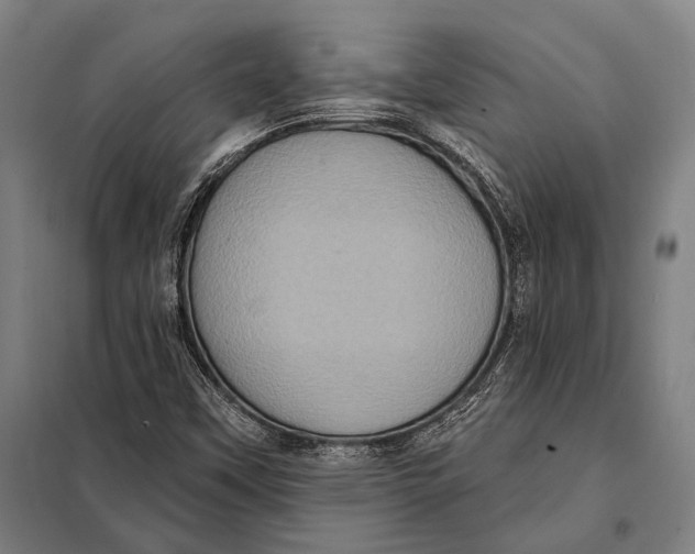 X0000097911451200804041450