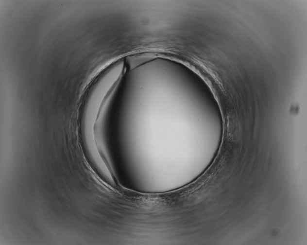 X0000097911452200804041450