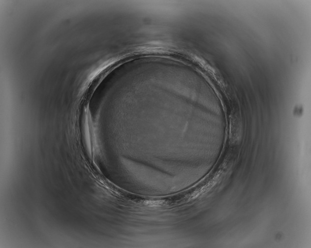 X0000097911453200804041450