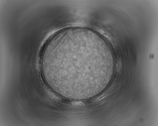 X0000097911454200804041450