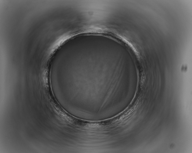 X0000097911455200804041450