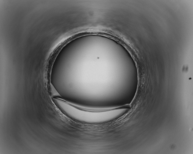 X0000097911456200804041450