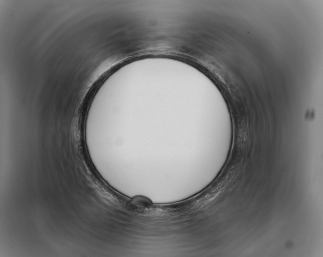 X0000097911458200804041450