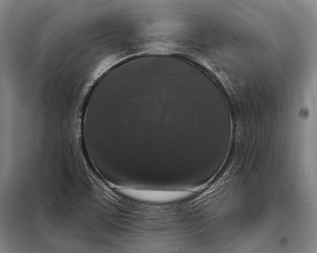 X0000097911459200804041450