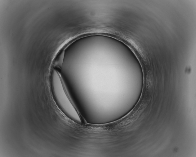 X0000097911460200804041450