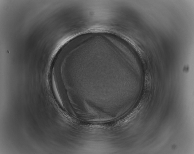 X0000097911461200804041450