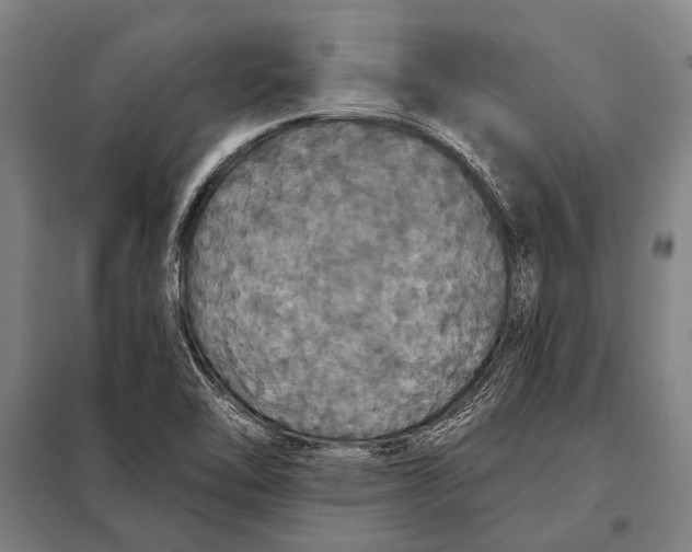 X0000097911462200804041450