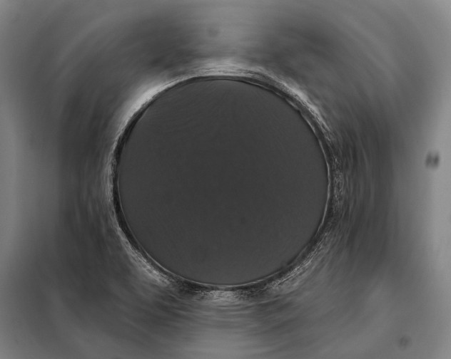 X0000097911463200804041450