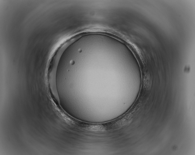 X0000097911464200804041450