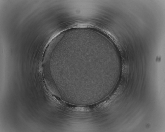 X0000097911465200804041450