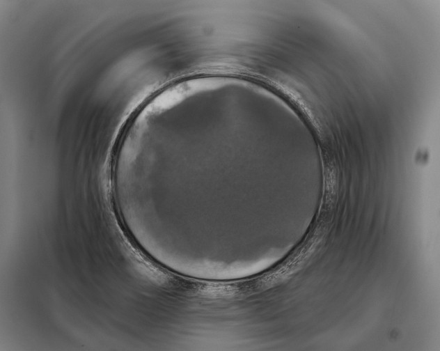 X0000097911466200804041450