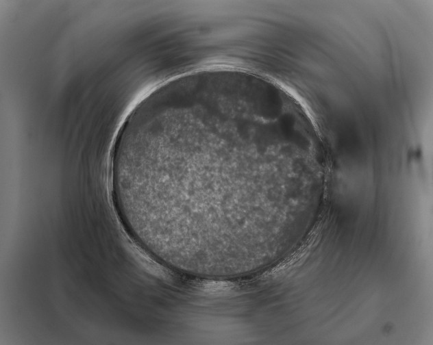 X0000097911467200804041450