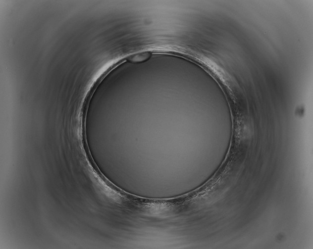 X0000097911468200804041450