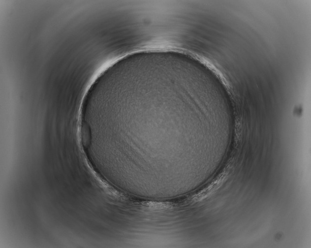 X0000097911469200804041450