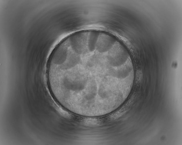 X0000097911470200804041450