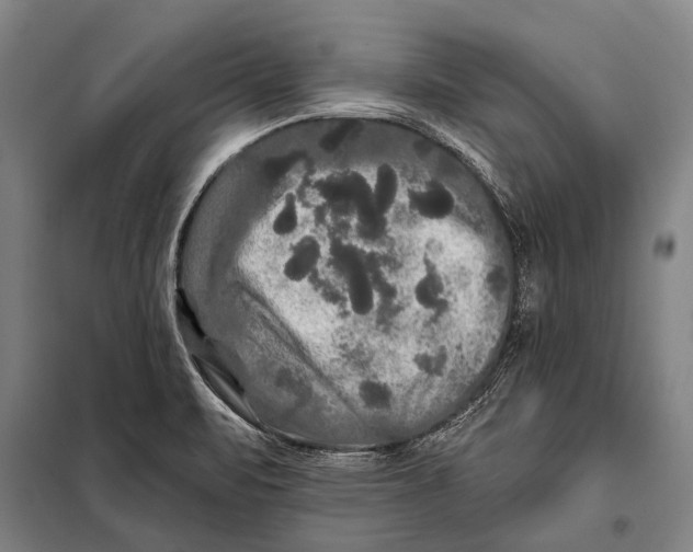 X0000097911471200804041450