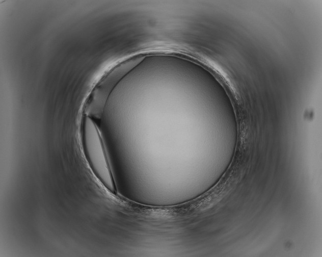 X0000097911472200804041450