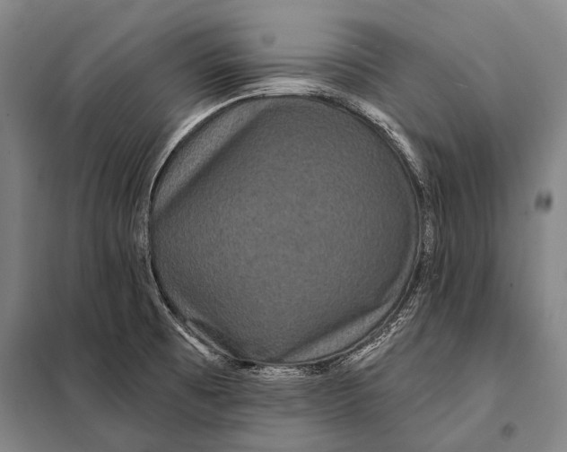 X0000097911473200804041450