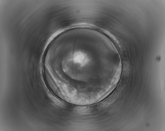 X0000097911474200804041450