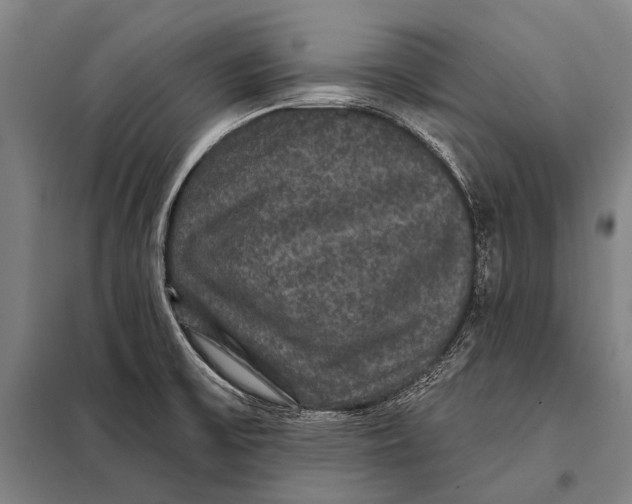 X0000097911475200804041450