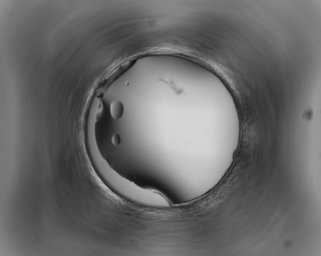 X0000097911476200804041450