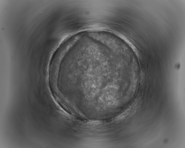 X0000097911477200804041450