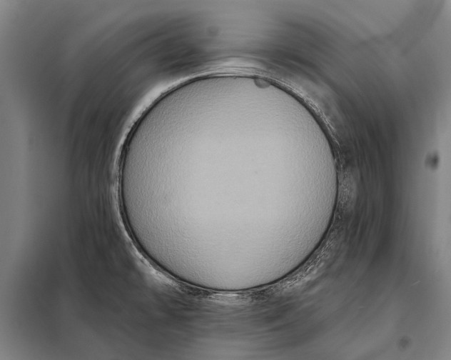 X0000097911478200804041450