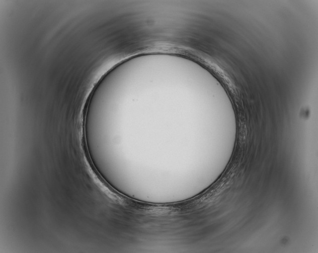 X0000097911479200804041449