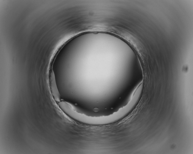 X0000097911480200804041449