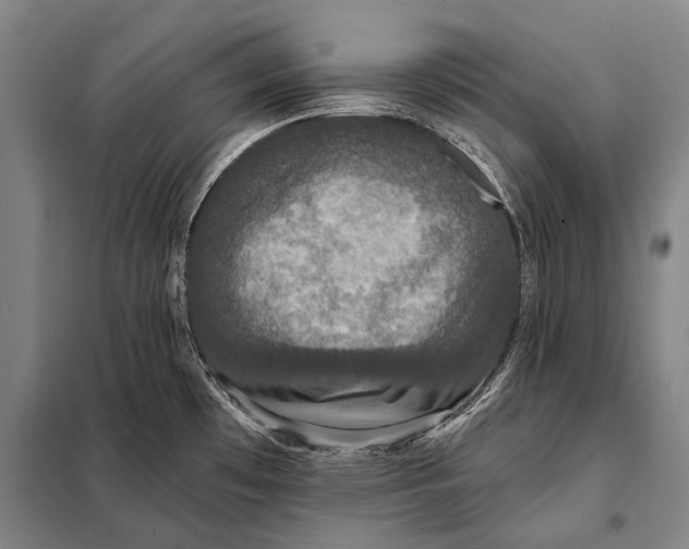 X0000097911481200804041449