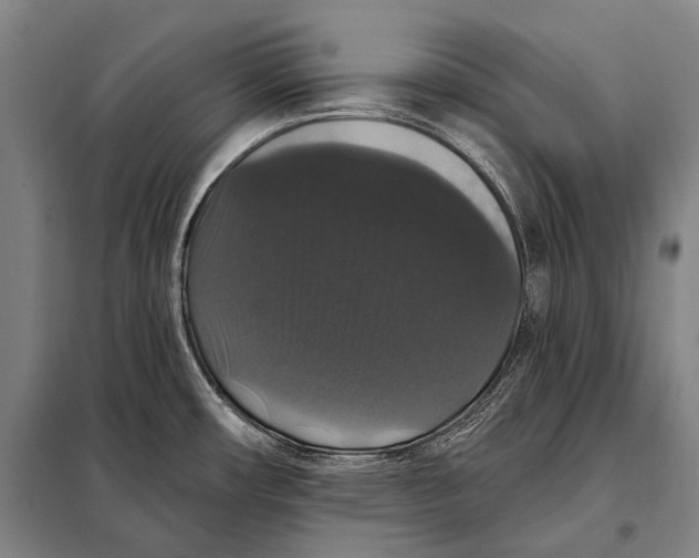 X0000097911482200804041449