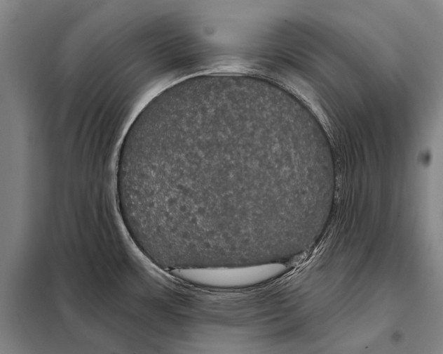 X0000097911483200804041449